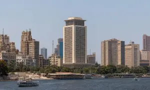 Фото: в результате пожаров в Австралии погибло более миллиарда животных, стихия усилилась