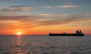 СМИ назвали причину досрочного ухода Йованович с должности посла США в Украине