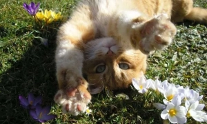 Міносвіти запровадить у школах уроки інформгігієни