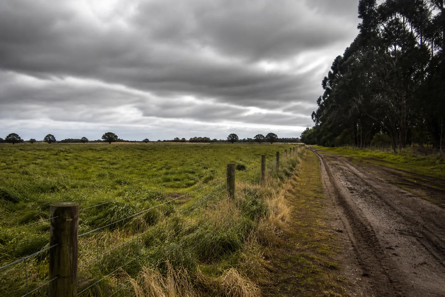 The coalition in Victoria has promised to scrap the VNI West project