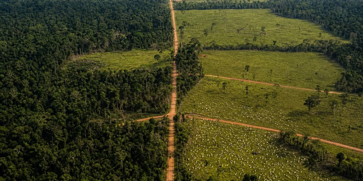 Study: Criminal groups control land near Brazil’s BR-319 — Mongabay