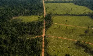 ОАГ направит миссию наблюдения на выборы в Гренаде — The Rio Times