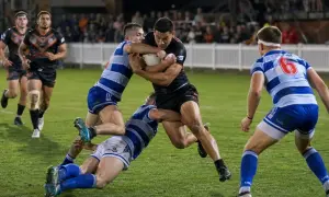 «Кронулла» проиграла «Рустерс» 10:46 в плей-офф NRL — ABC News Australia