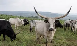 Европейские ученые разрабатывают более детальные климатические модели — Cyprus Mail