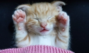 Три області України сколихнув землетрус