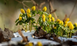 Гончарук розповів про близькість до укладення нової угоди з МВФ