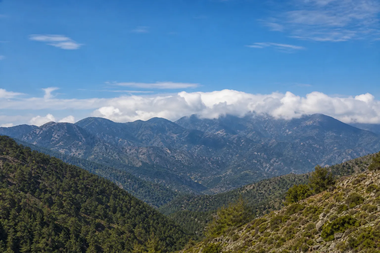 Cyprus forecasts up to 38°C and possible brief thunderstorms in the Troodos Mountains