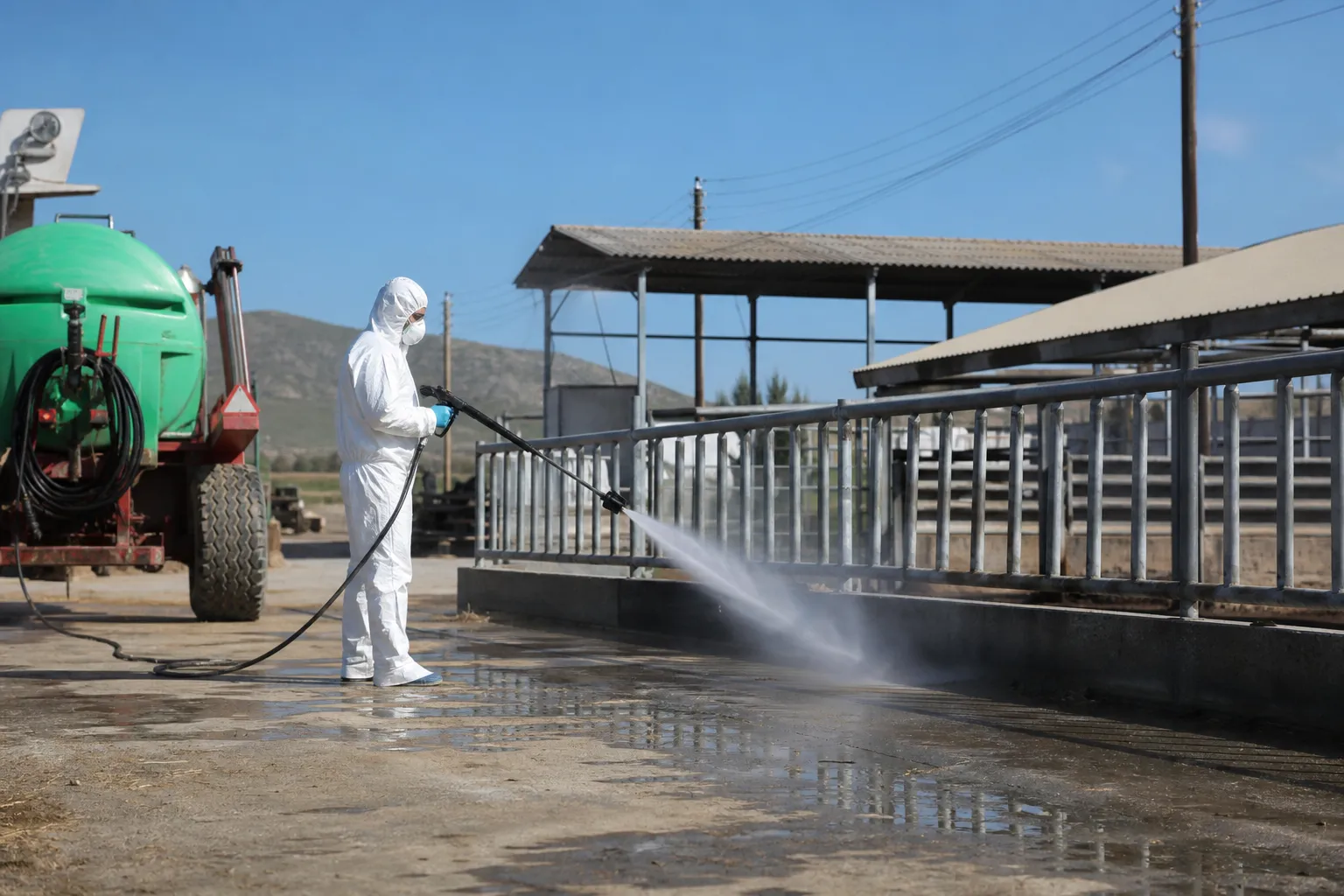 Restarting livestock farms in Cyprus depends on disinfection