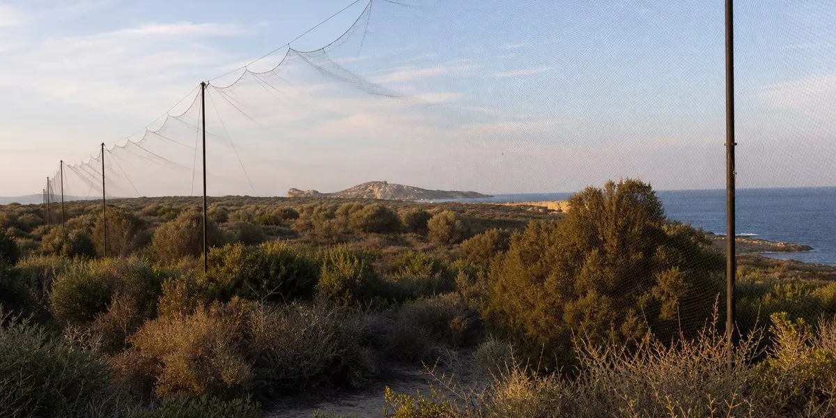 Cyprus parliamentary committee to discuss role of activists against illegal bird trapping