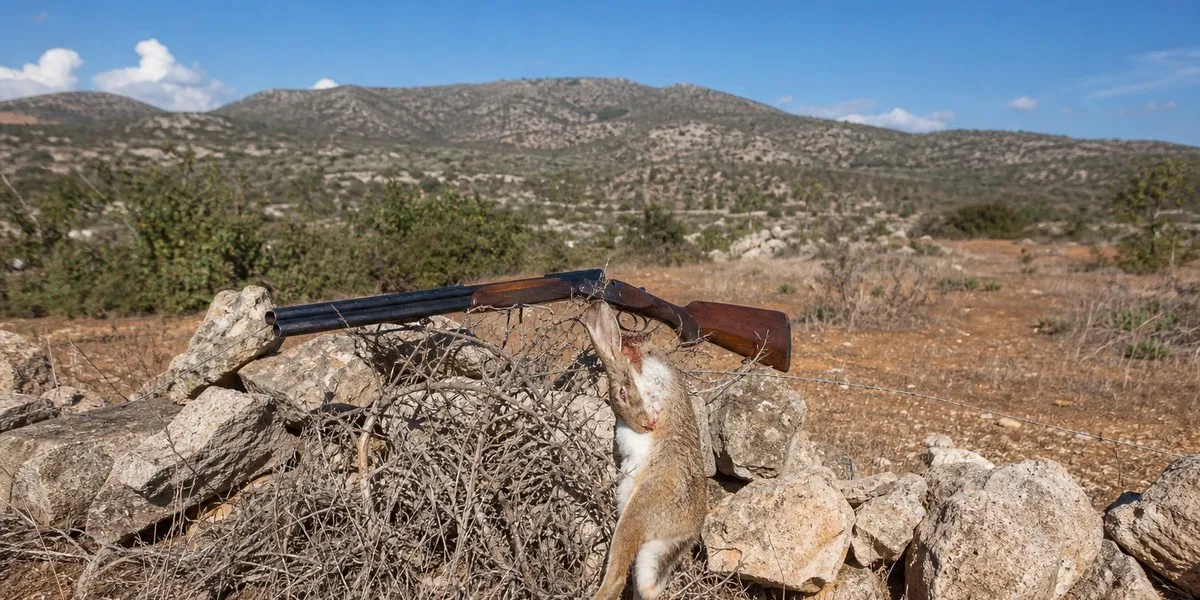 Cyprus proposes tougher penalties for poaching — Cyprus Mail