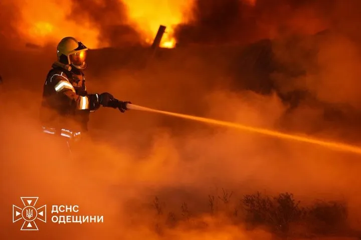Під Одесою РФ вдарила дронами по собачому притулку, спалахнула пожежа