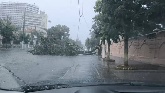 Відео: через сильну зливу в Одесі затопило вулиці та зупинився транспорт