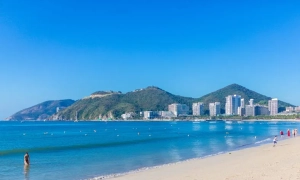 Нідерланди засекретили свідків у справі збитого «Боїнга» через загрозу життю