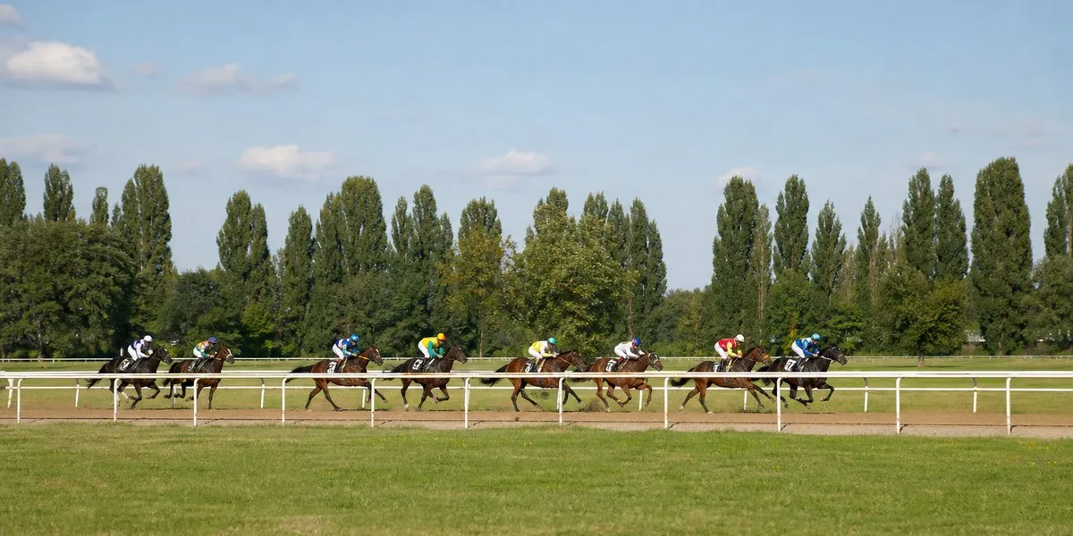 Darkness Falls赢得Dewhurst Stakes并领跑2000 Guineas市场——Sky Sports News
