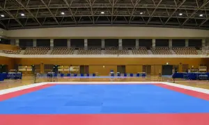 Українські стрибуни у воду здобули дві медалі на Євро у Белграді