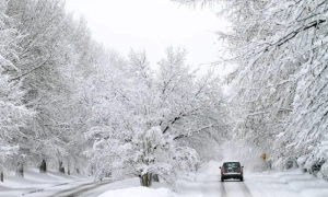 На Буковині вигнали з церкви попів, які не давали відспівати загиблого воїна