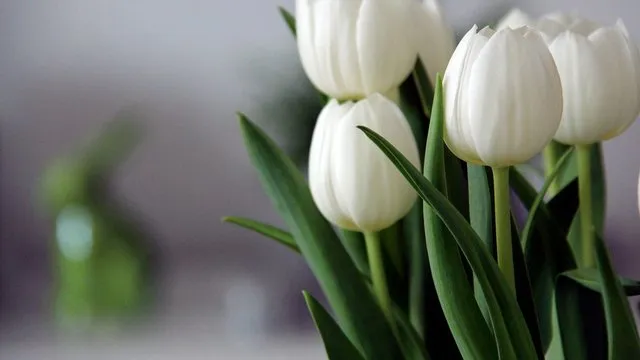 В Україні 19 квітня без опадів, лише на сході можливі дощі