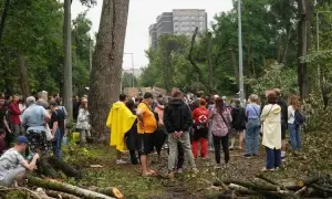 Видео: в Киеве возле помещения «Нацкорпуса» взорвалась граната