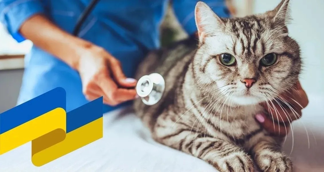 Holiday on October 4, 2026 — Veterinary Service Day of the Ministry of Internal Affairs of Ukraine