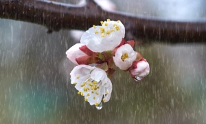 Serhiy Tyurin, Head of the Khmelnytskyi Regional State Administration, has published his 2025 financial disclosure statement