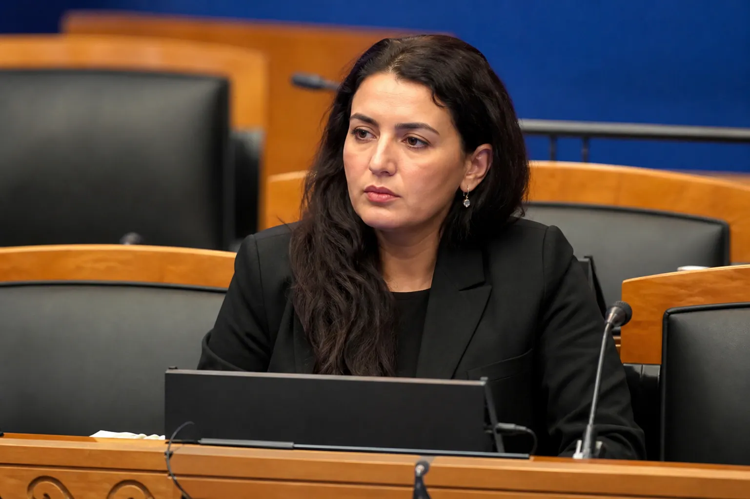 Депутатка Рійгікогу не підписуватиме висунення жодного кандидата в президенти Естонії