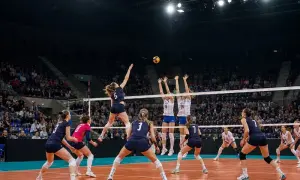 Олімпіада-2022: організатори попросили Україну сплатити кілька ПЛР-тестів для саней