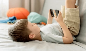 Глава Міноборони Британії їде до Німеччини «вибивати» фінансування для України 