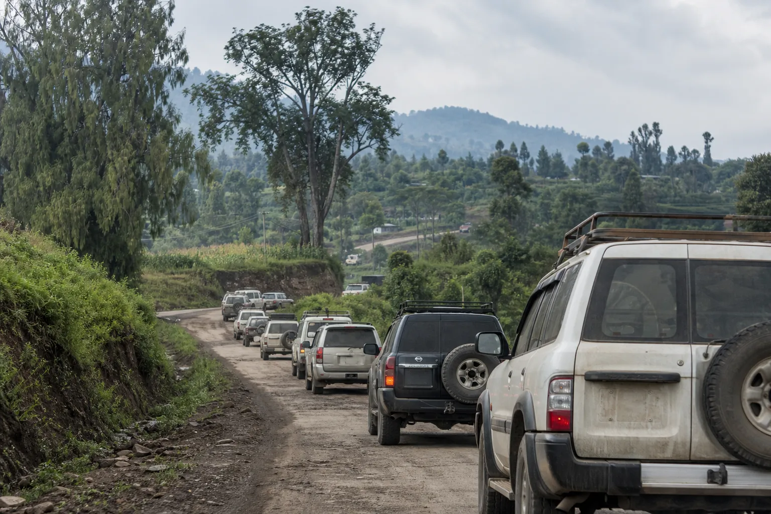 刚果（金）在和平进程框架内向M23反政府武装移交了15名囚犯
