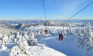 Українські паспорти впали у рейтингу привабливості