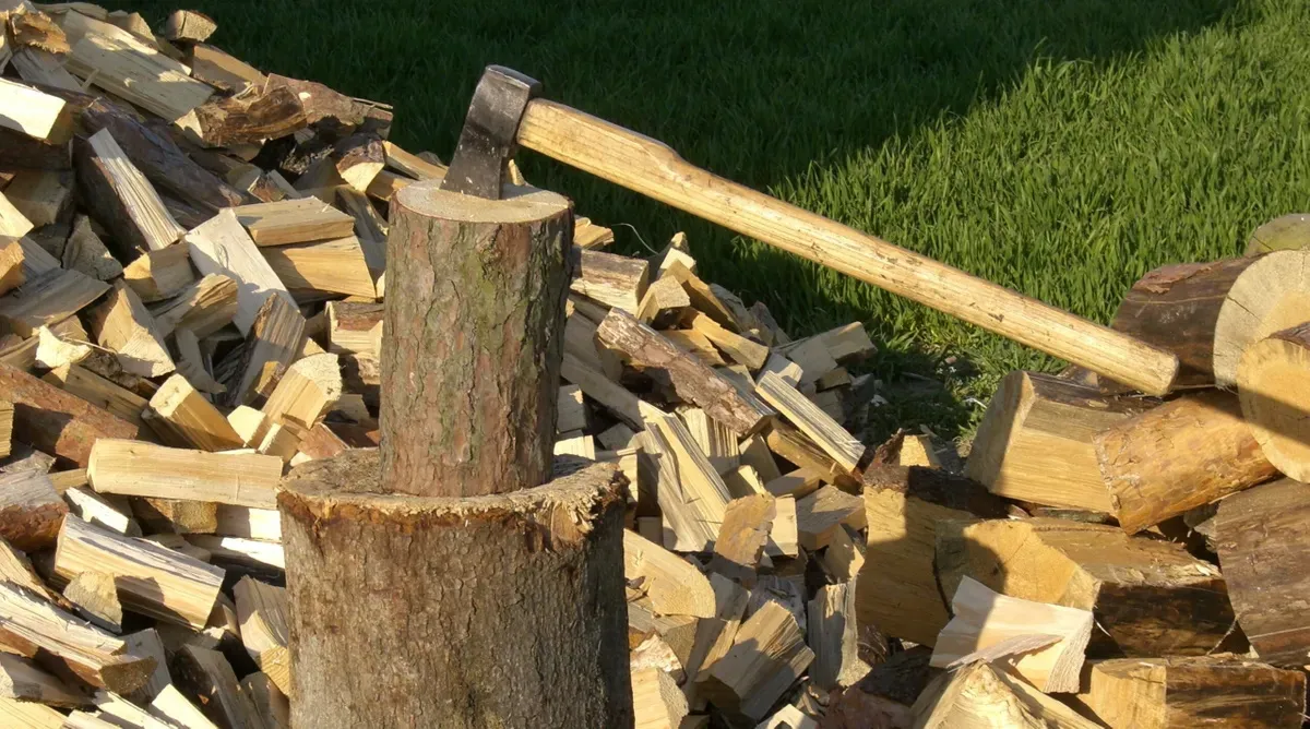 Дрова подорожчали перед зимою: які є альтернативи
