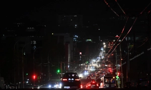 ЄС готовий до арбітражу проти України через ліс-кругляк