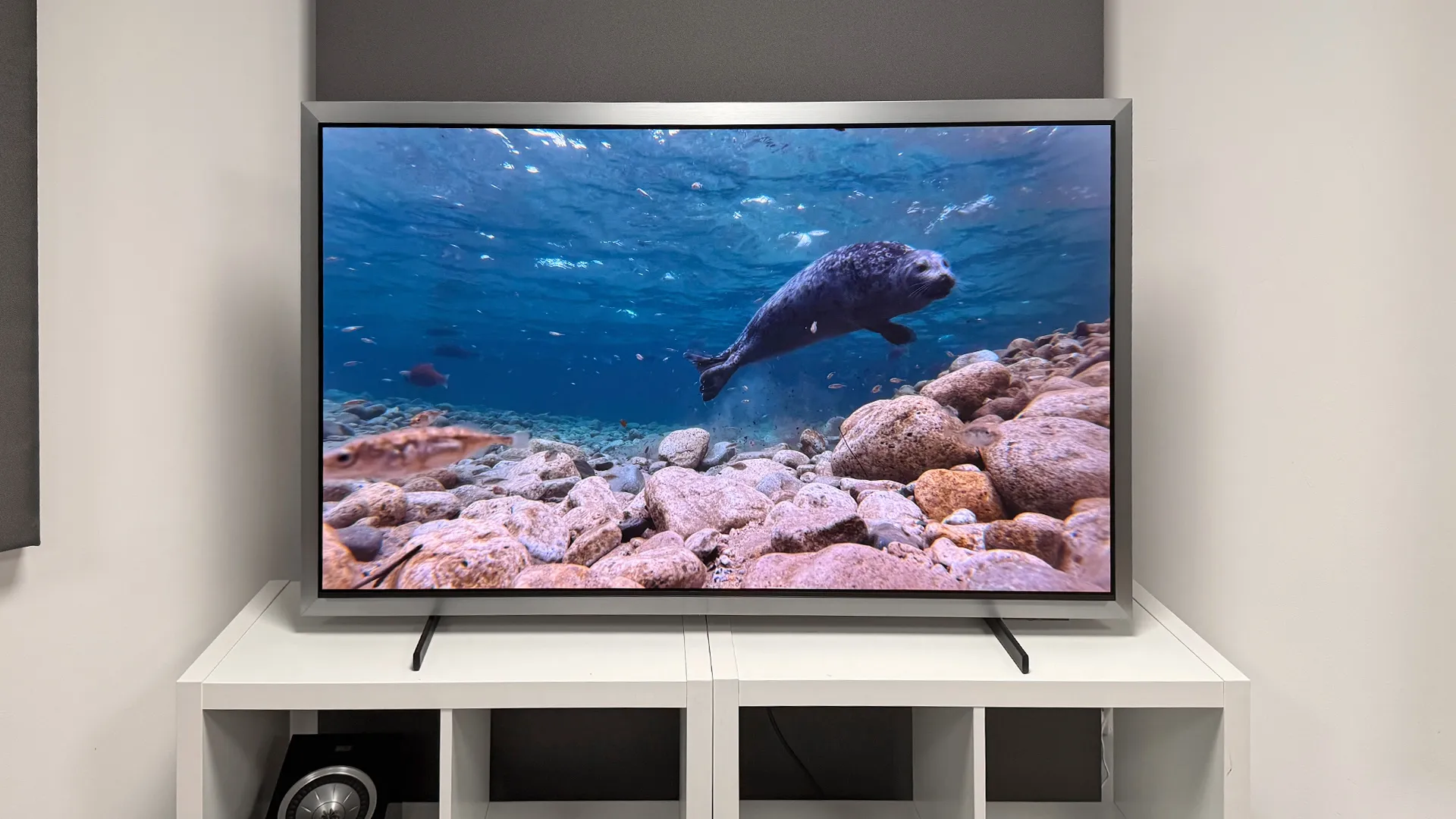 Samsung S99H обійшов Sony Bravia та став фаворитом серед OLED-телевізорів