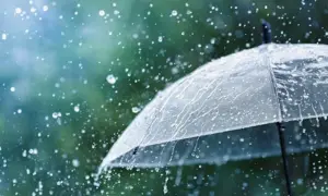 В Україні запустили платформу «Додому» для українців за кордоном