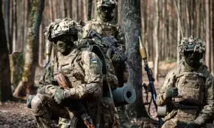У ввезеній із Польщі курятині знайшли небезпечну хворобу
