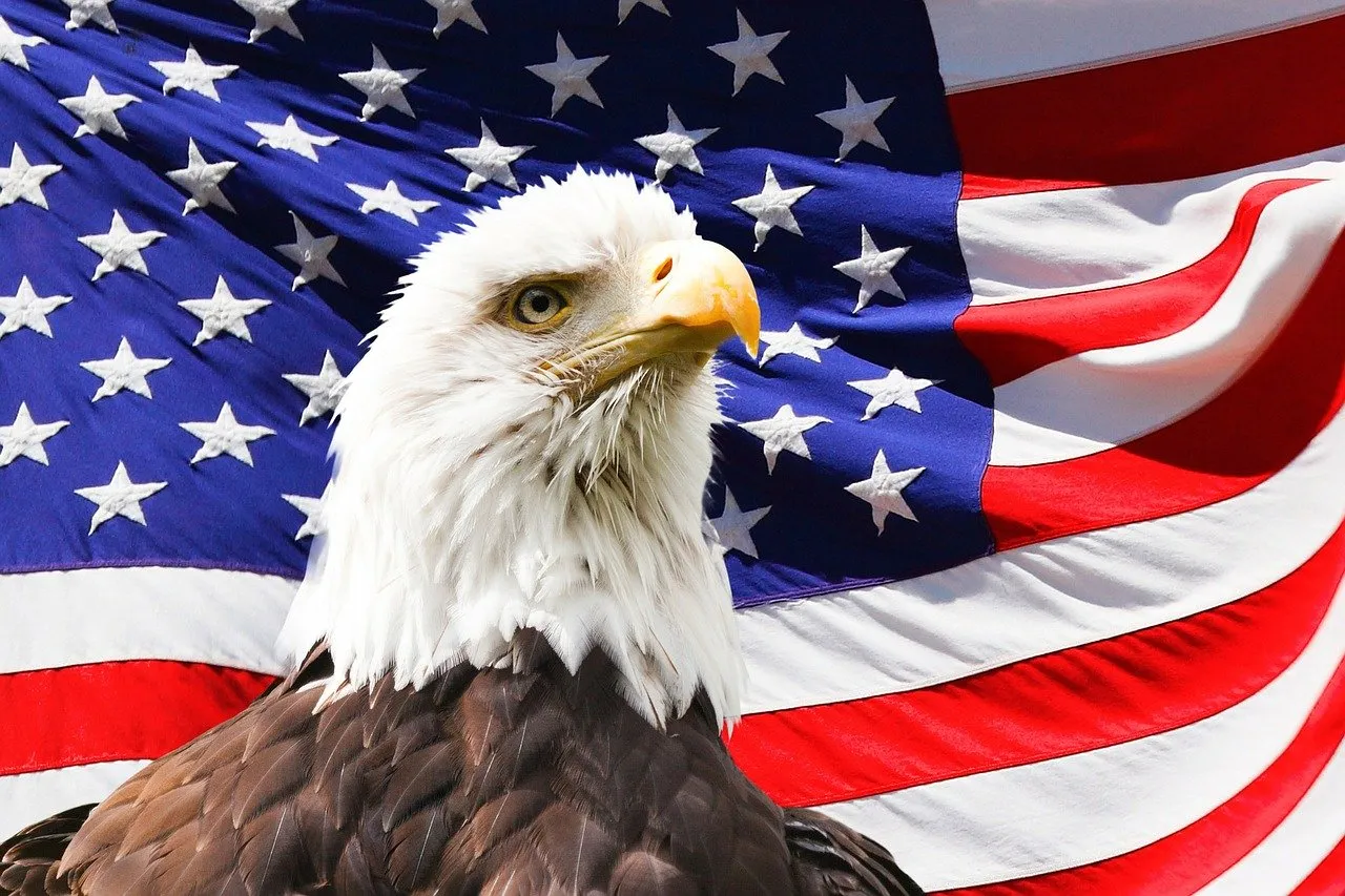 June 20 Holiday: American Eagle Day is celebrated around the world
