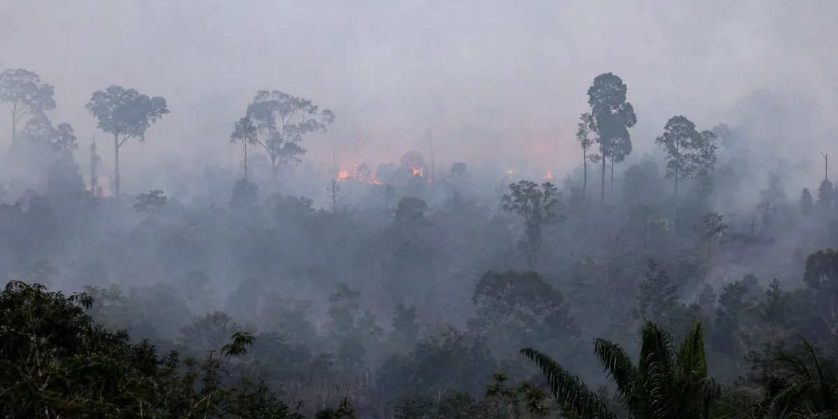 Timor Wschodni zamknie szkoły z powodu dymu z pożarów w Indonezji — Asharq Al-Awsat