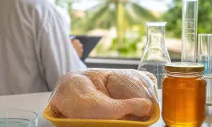 马蒂纳称农业粮食系统正面临完美风暴——ANSA English