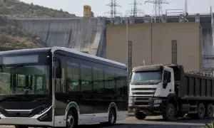 Самое старое дерево Европы, которому почти 10 тысяч лет, сломалось под навалой снега