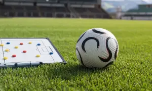 津巴布韦召回克雷默和泰勒参加对澳大利亚的ODI系列赛