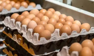 Латвия хочет запретить гражданам рф и беларуси ношение и хранение огнестрельного оружия