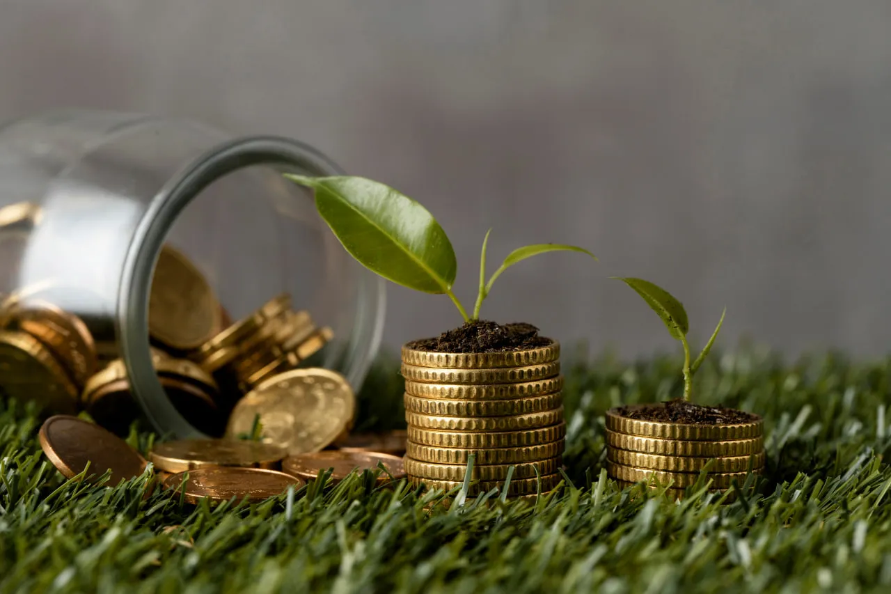 Квіти, ремонти, каналізація: на що витрачаються кошти екоподатку