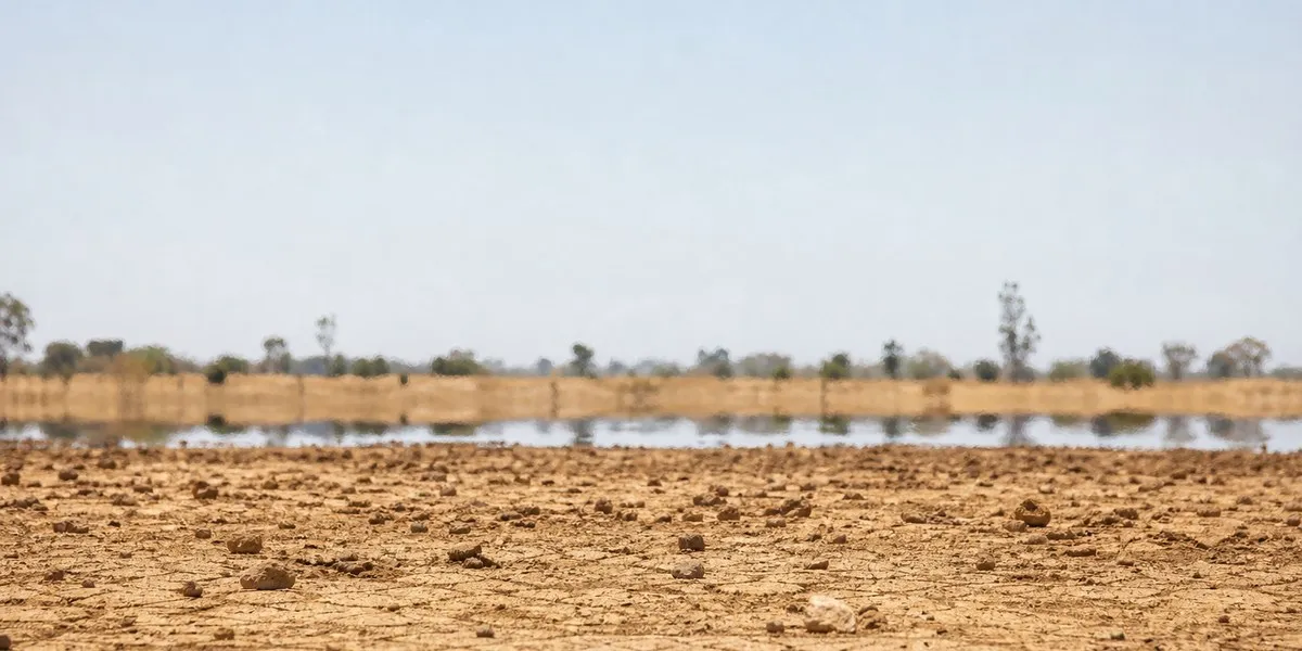 El Niño could cause up to 451,000 additional deaths — The Hindu International
