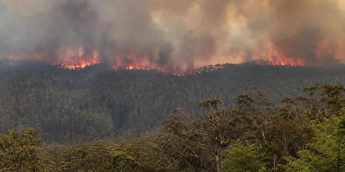 Emergency warning issued in Blackmore, Australia, due to bushfire