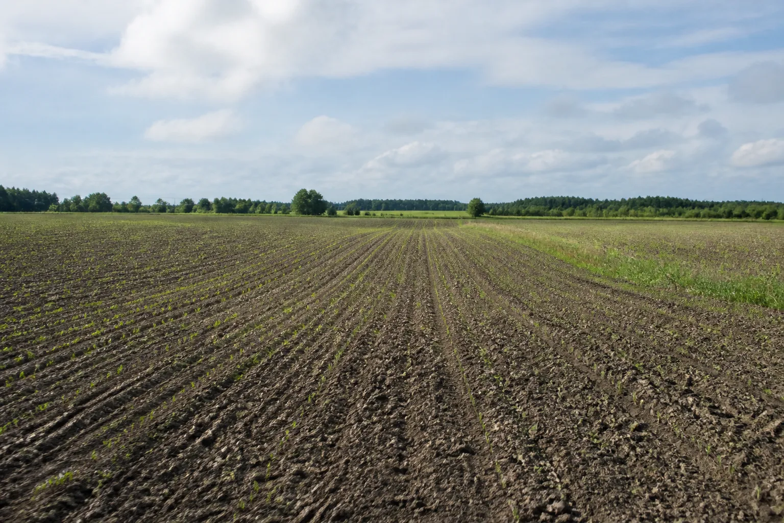 Estonia to allocate an additional €26.4 million in support to farmers