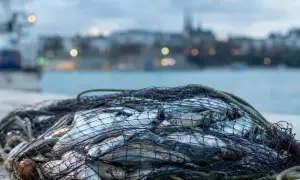 Грета Тунберг оказалась в ТОП-10 ученых года по версии Nature