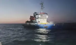 На тему зустрічі Трампа із російським диктатором з'явилося багато карикатур