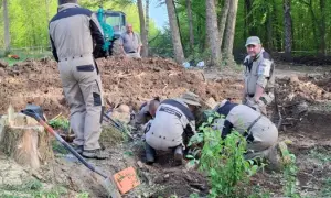 Продовжуються відключення світла в одній області України