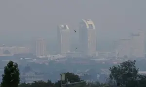 Відео: Епіфаній провів літургію з нагоди свята Входу Господнього в Єрусалим