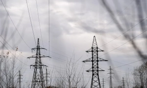 ЄС готовий до арбітражу проти України через ліс-кругляк