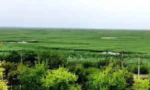 Украинцам не советуют ехать в Польшу из-за пробок на границе